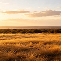 South Africa